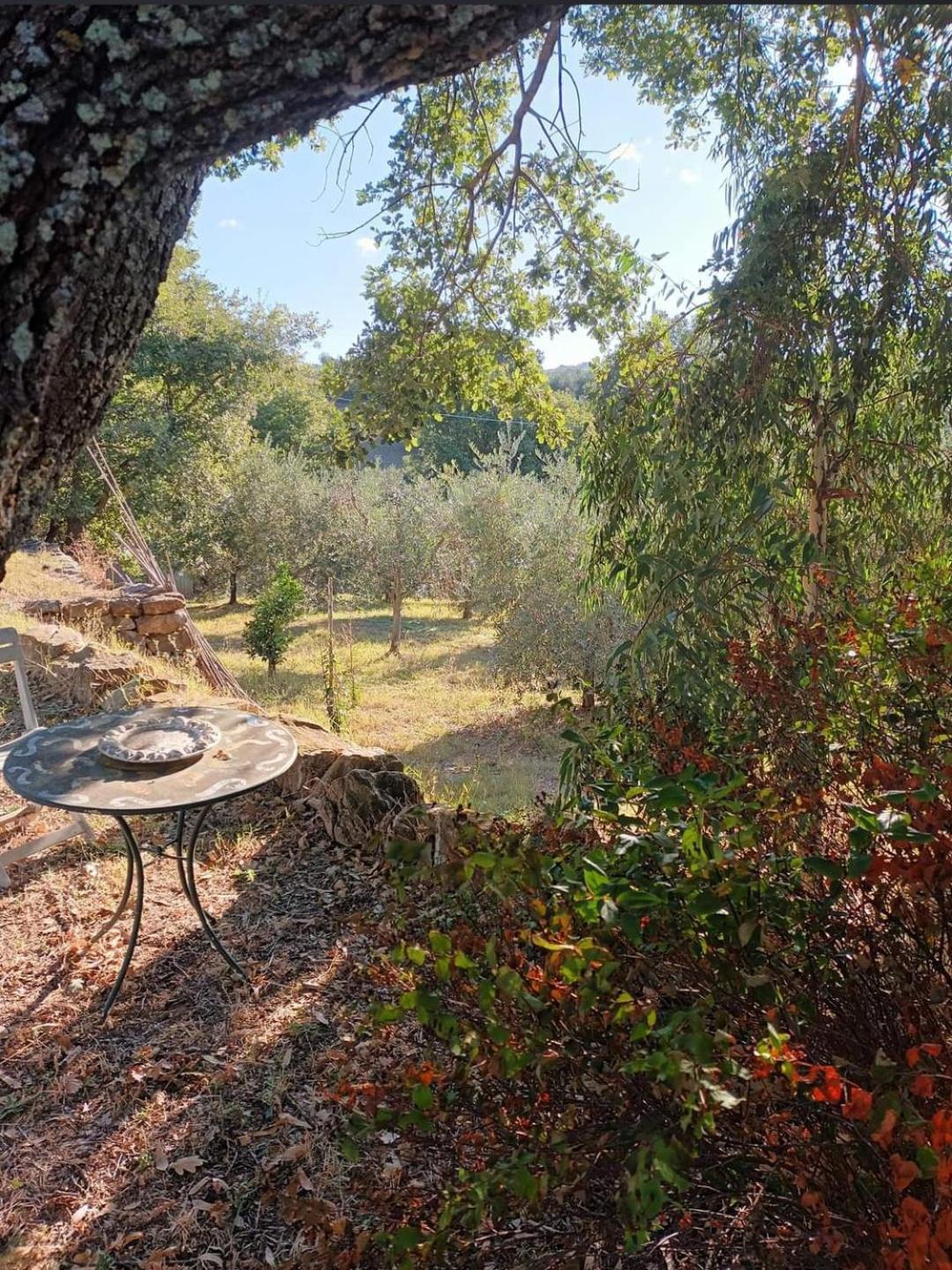 Апартаменти Casa In Maremma Монтемерано Екстер'єр фото