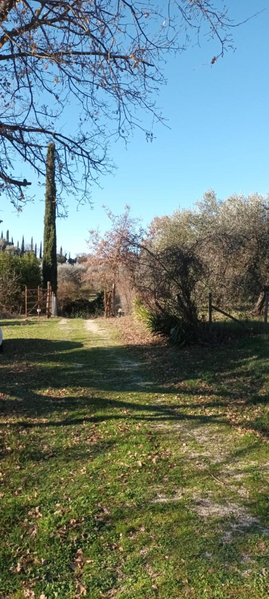 Апартаменти Casa In Maremma Монтемерано Екстер'єр фото