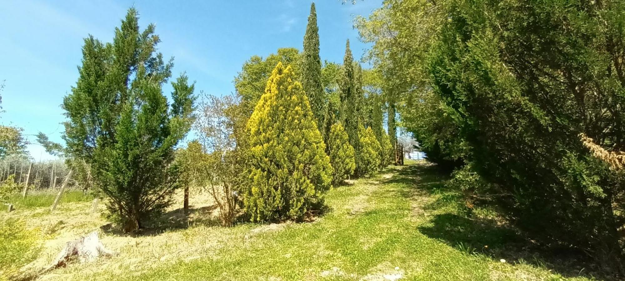 Апартаменти Casa In Maremma Монтемерано Екстер'єр фото