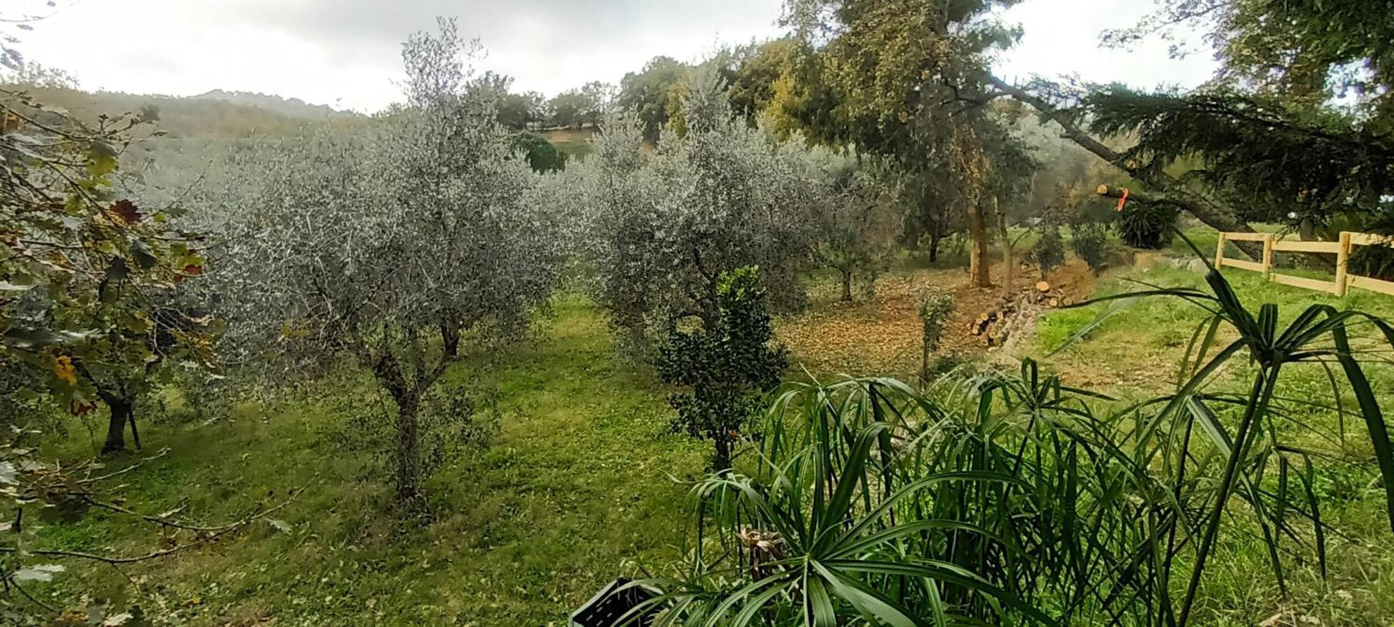 Апартаменти Casa In Maremma Монтемерано Екстер'єр фото